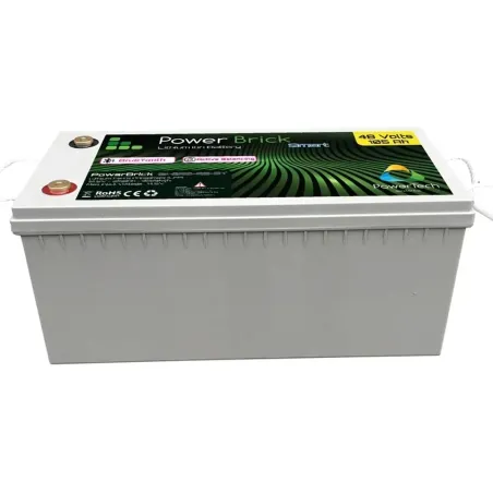 Remplacement plomb 48V – batterie LiFePO4 105Ah avec protections BMS (sur/sous-tension, surintensité)